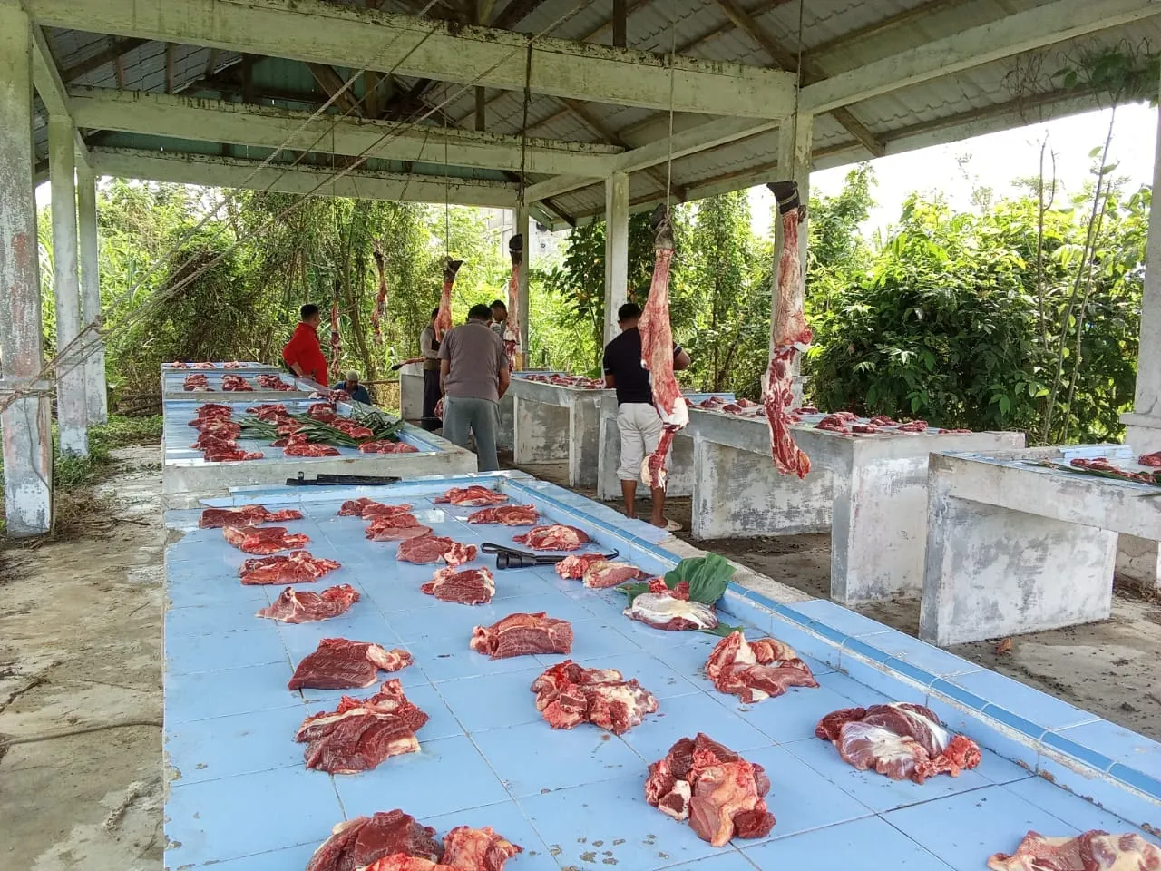 Foto: Istimewa, Dok. Siwah Rimba