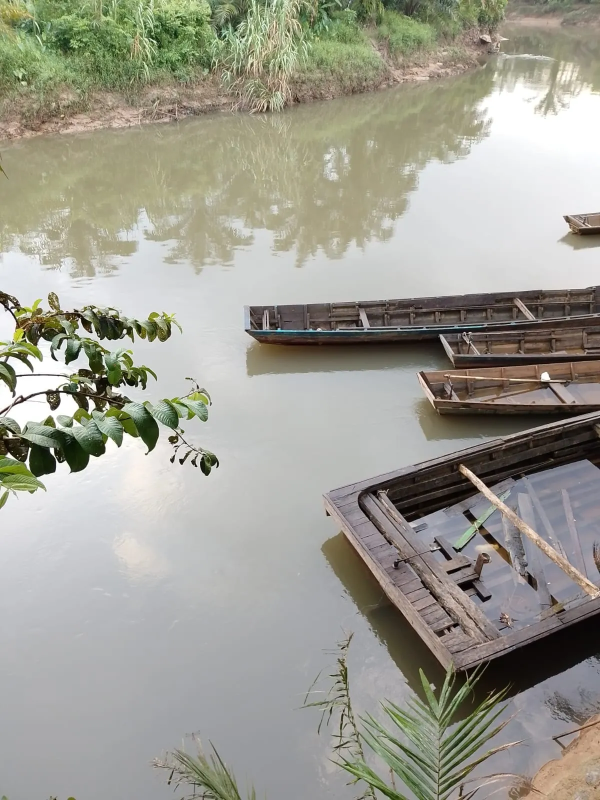 Foto: Sungai Rikit Yang Diduga Tercemar Oleh Limbah PT MSB II, Dok. Khadafi