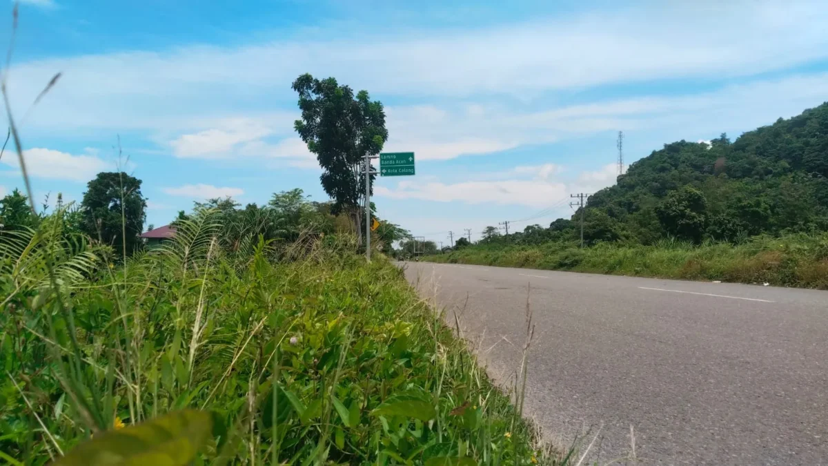 Foto: Jalan Antar Kabupaten Pesisir Barat