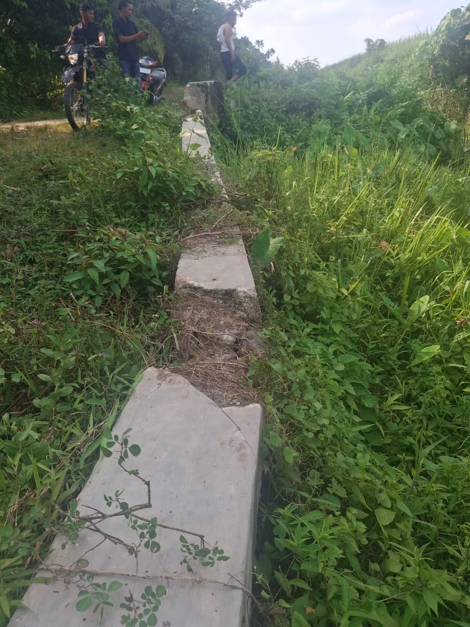 Foto: Kondisi Talud Desa Alue Leukot Yang Hampir Abrasi Ke Parit