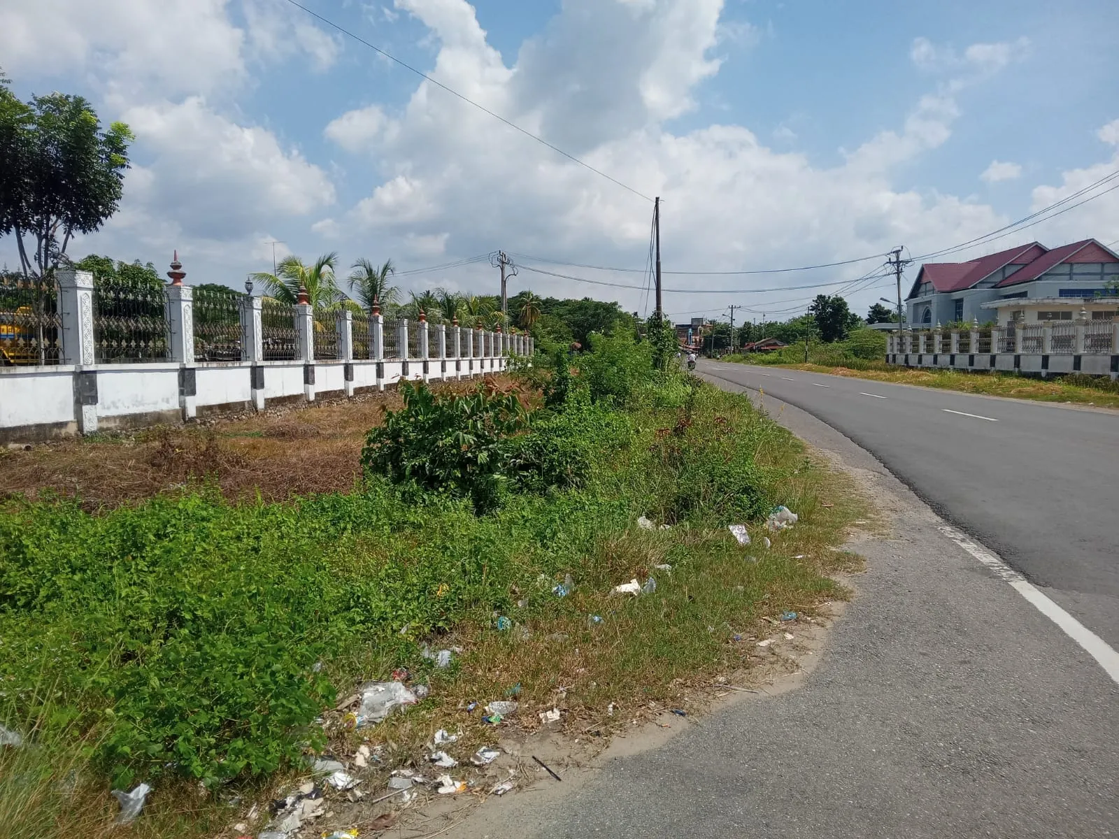 Foto: Rumput Dilingkungan Kantor Bupati Aceh Utara