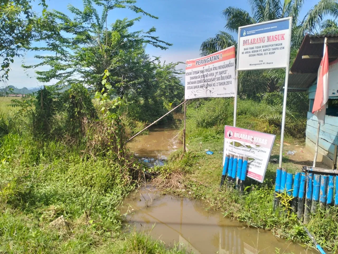Foto: Parit/Saluran Milik PT. Bapco di Gampong Buket Pidie, Kecamatan Paya Bakong