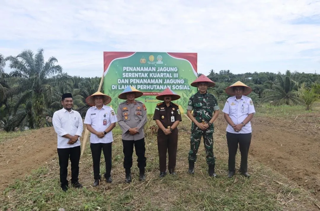 Foto: Istimewa