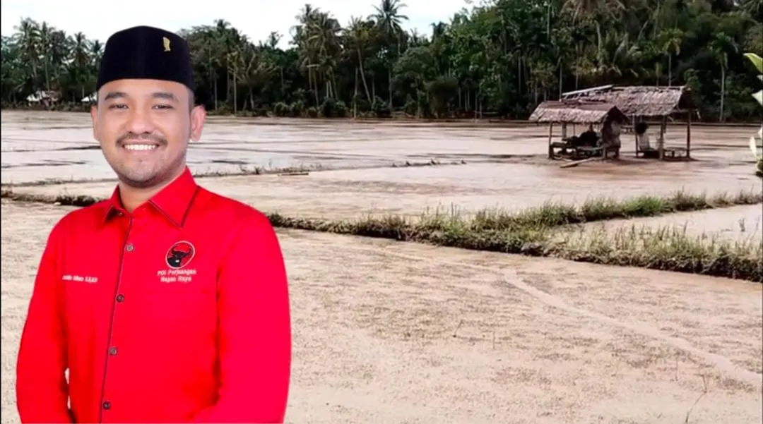 Foto: Jamaluddin Idham dan Sawah di Aceh Barat Pasca Banjir